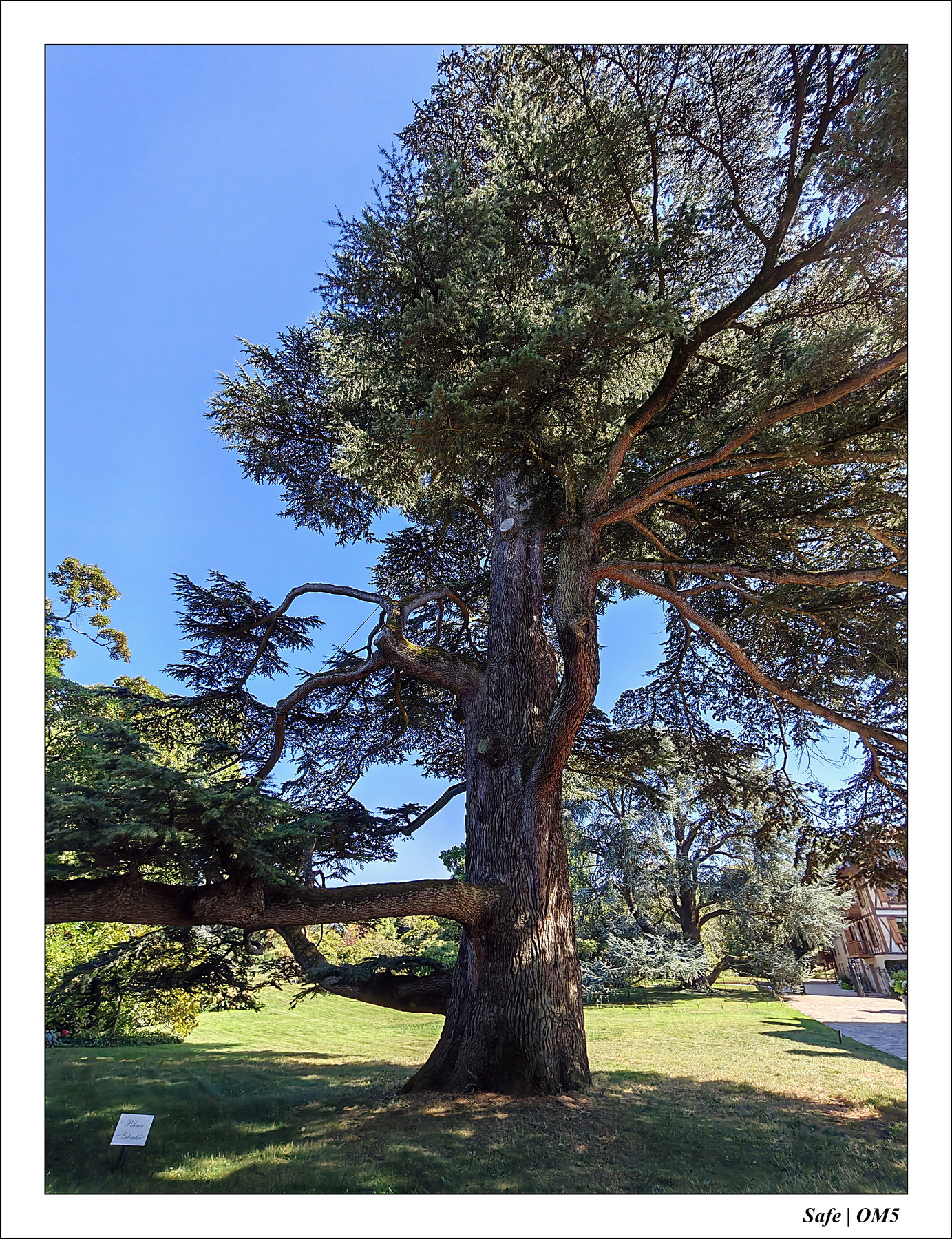 2025 - 08 - Vallée des loups - 37